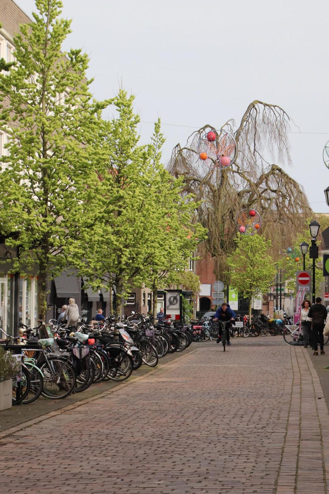 Boxtel, Appartement Ngoại thất bức ảnh